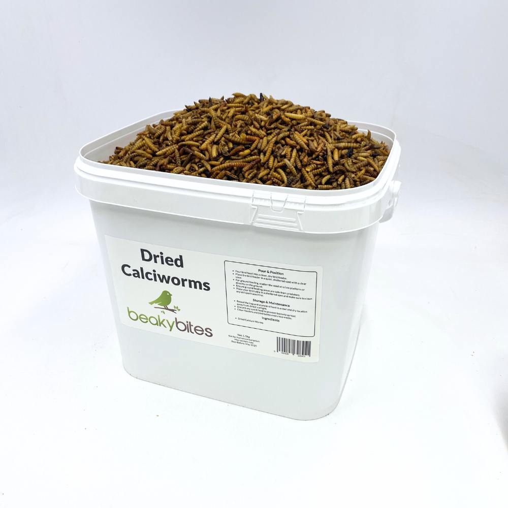 Dried Calciworms 2kg